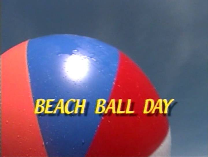 Enature.net-Beach Ball Day - Poster