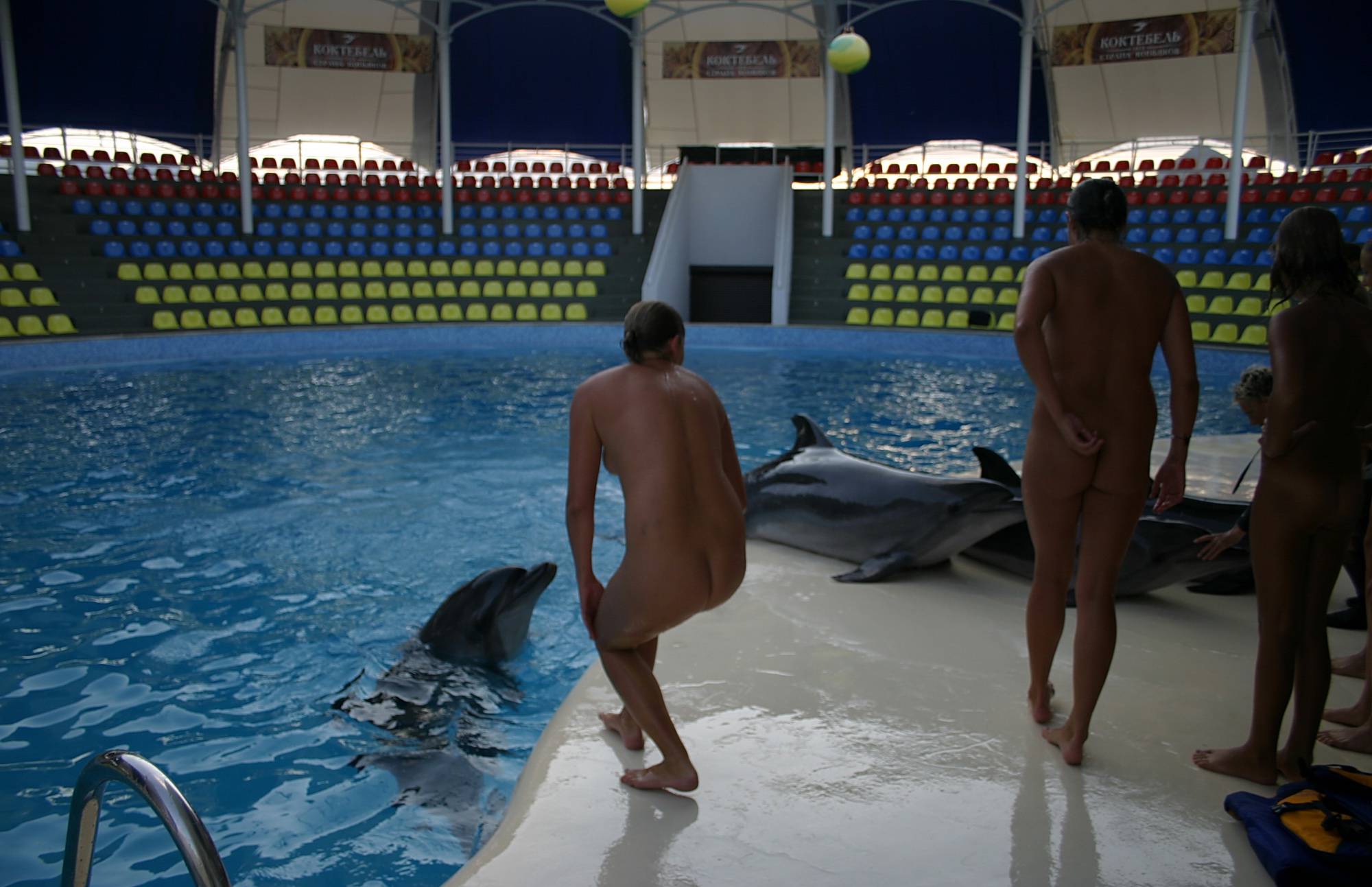 Pure Nudism Images-Our Families and Dolphins - 1