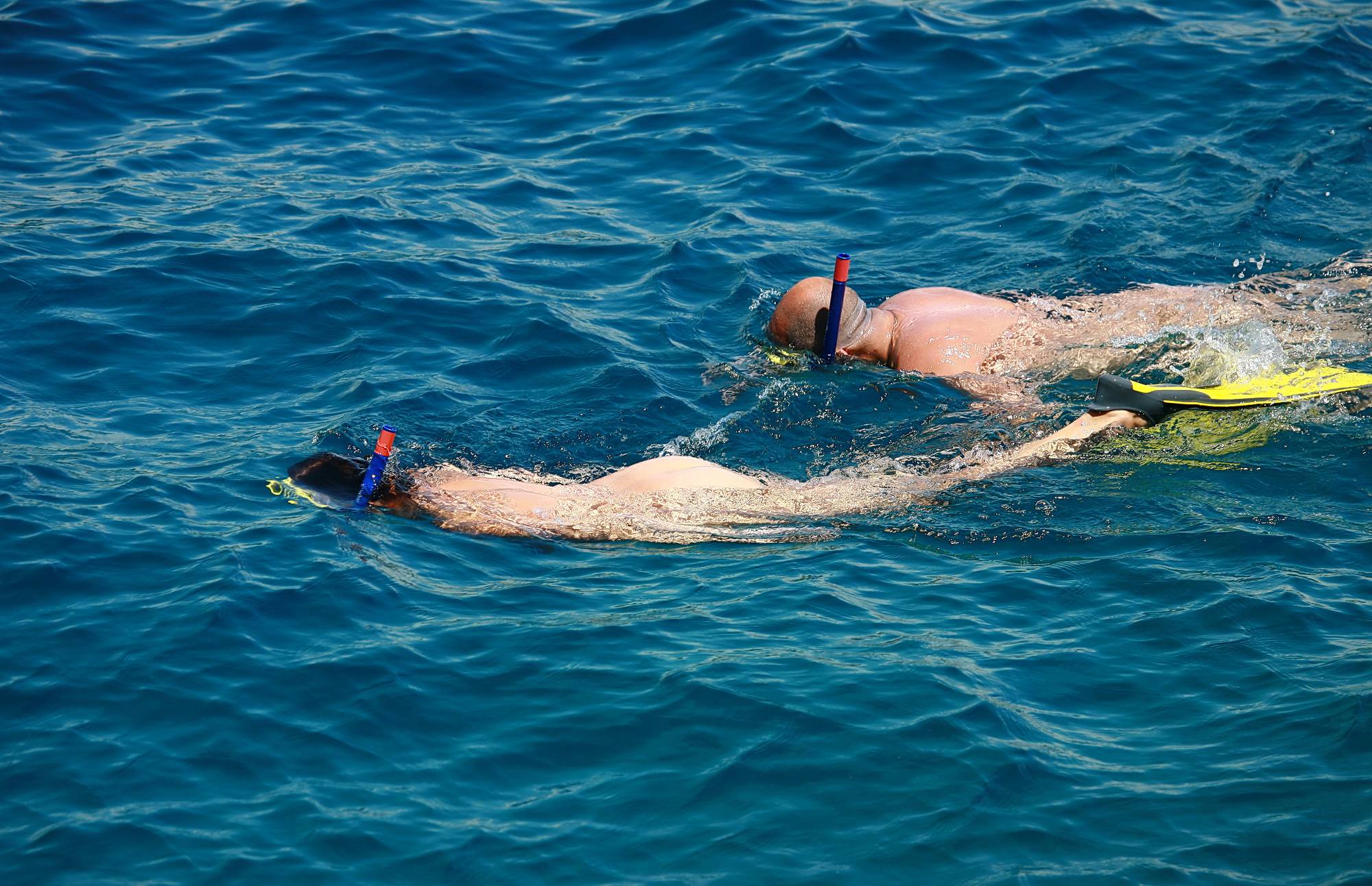 Pure Nudism Photos-Snorkeling and Day Boats - 2